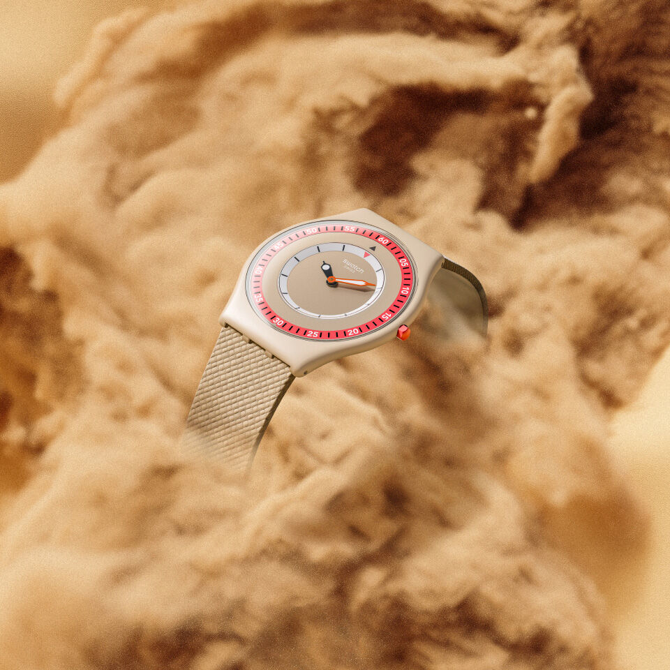 Swatch frozen watch shop