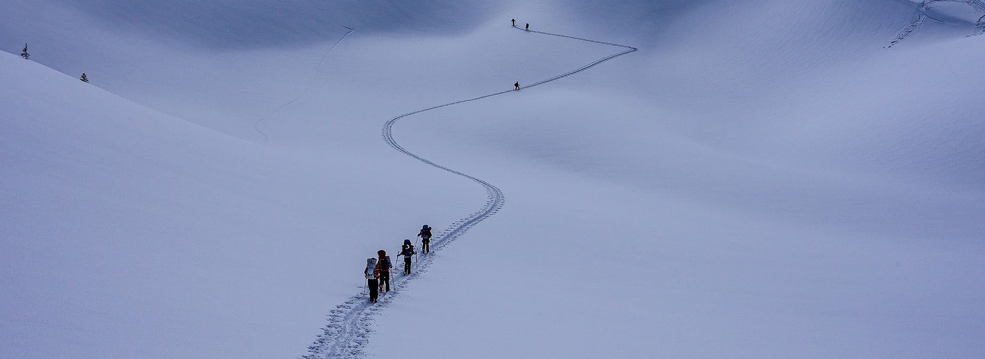People hiking in the snow