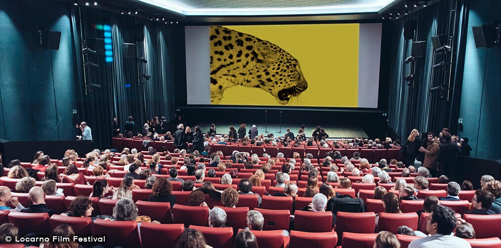 Черно-желтая расцветка, как у леопарда!