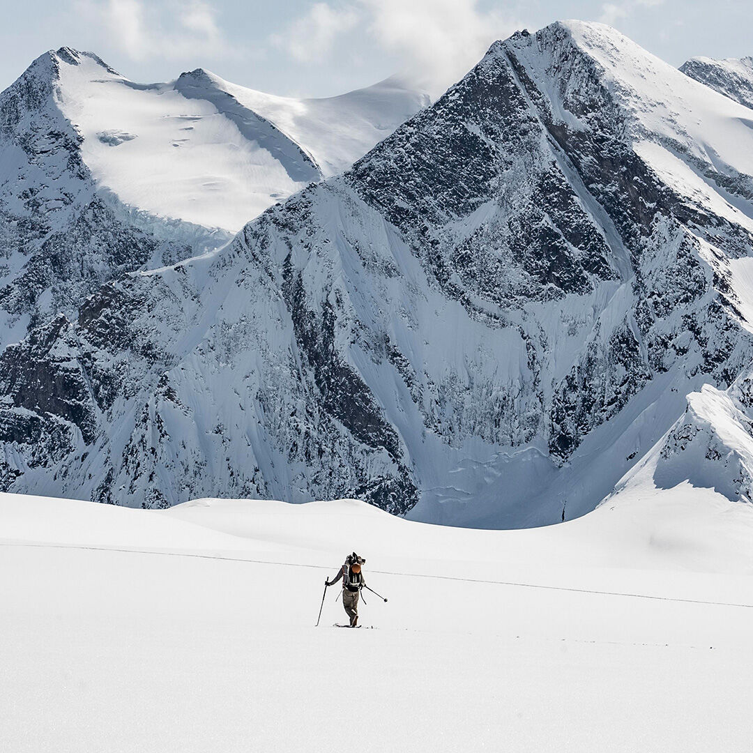 The FIFTY - Cody Townsend