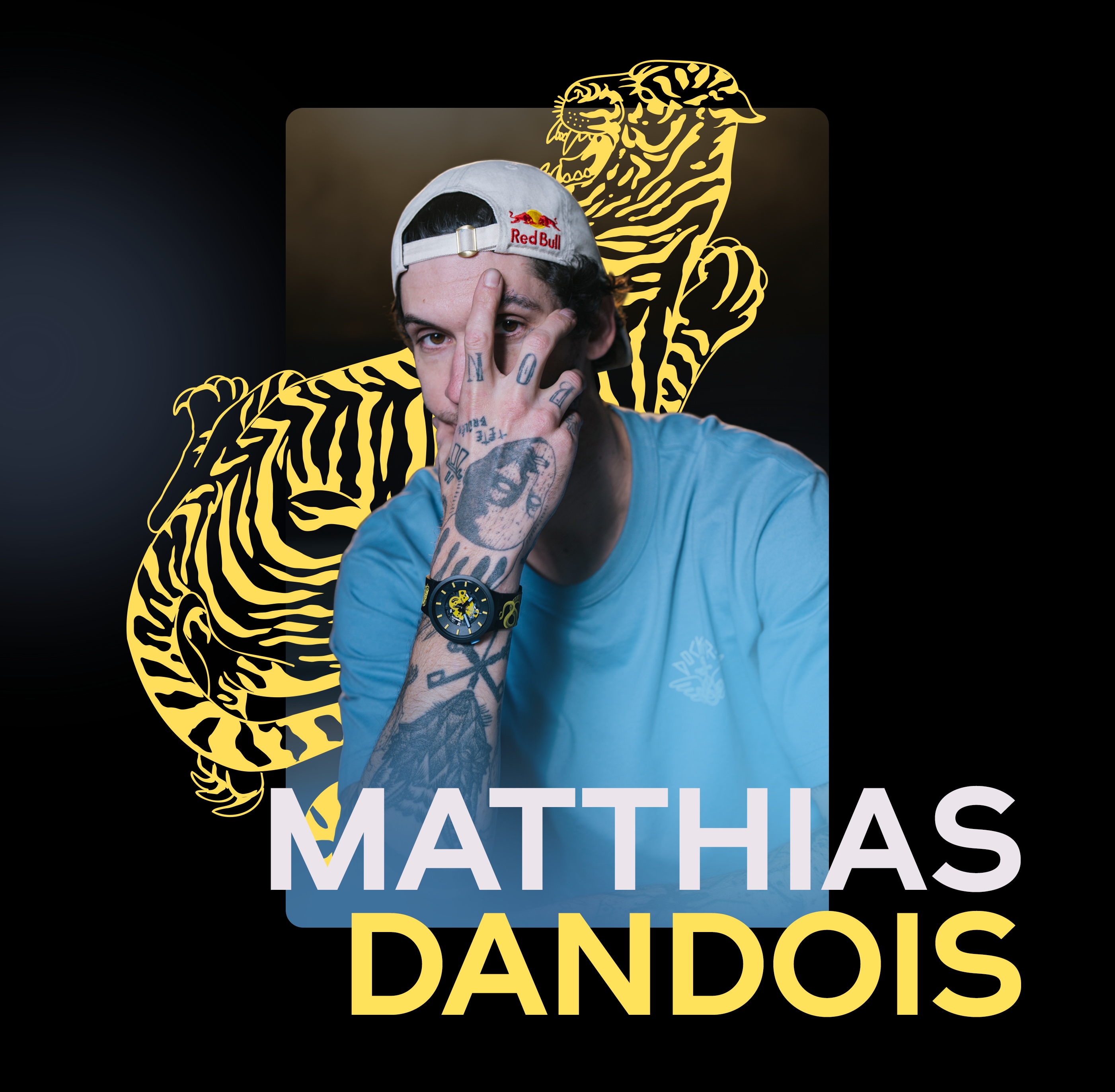 Matthias Dandois portrait