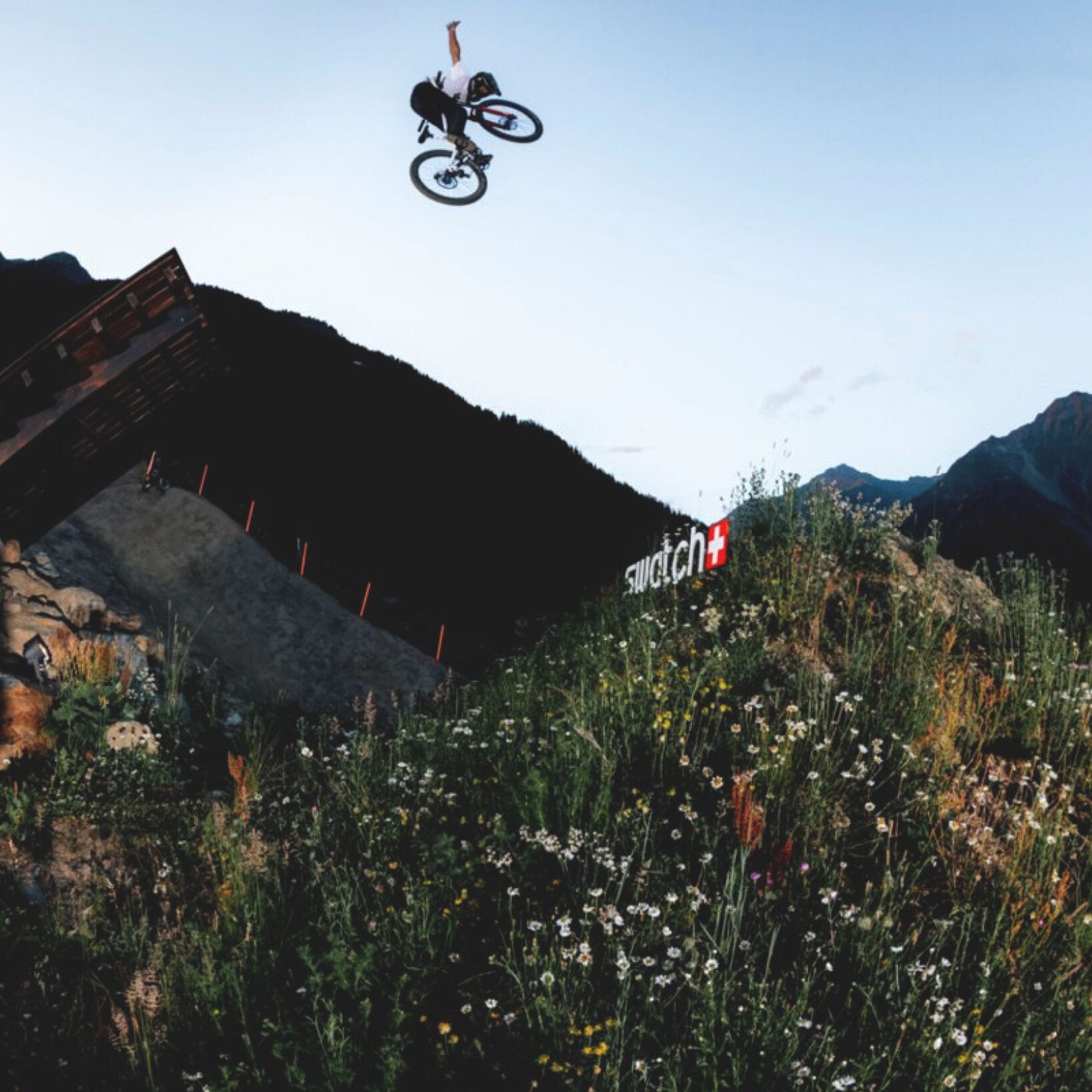 Nines Bike