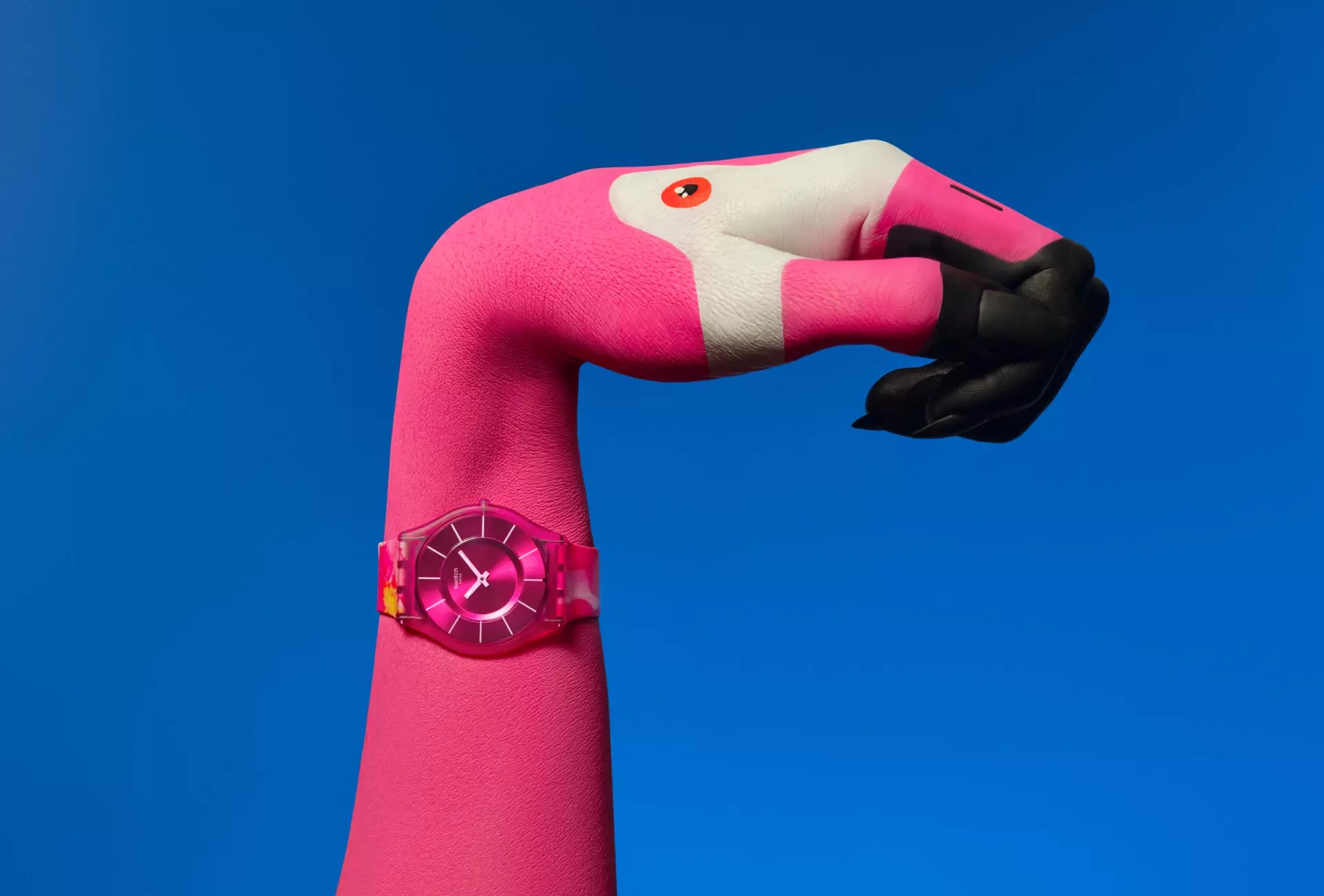 PAINTED PARADISE Collection