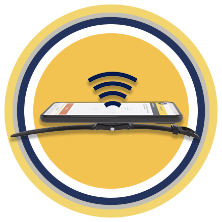 swatch pay switzerland