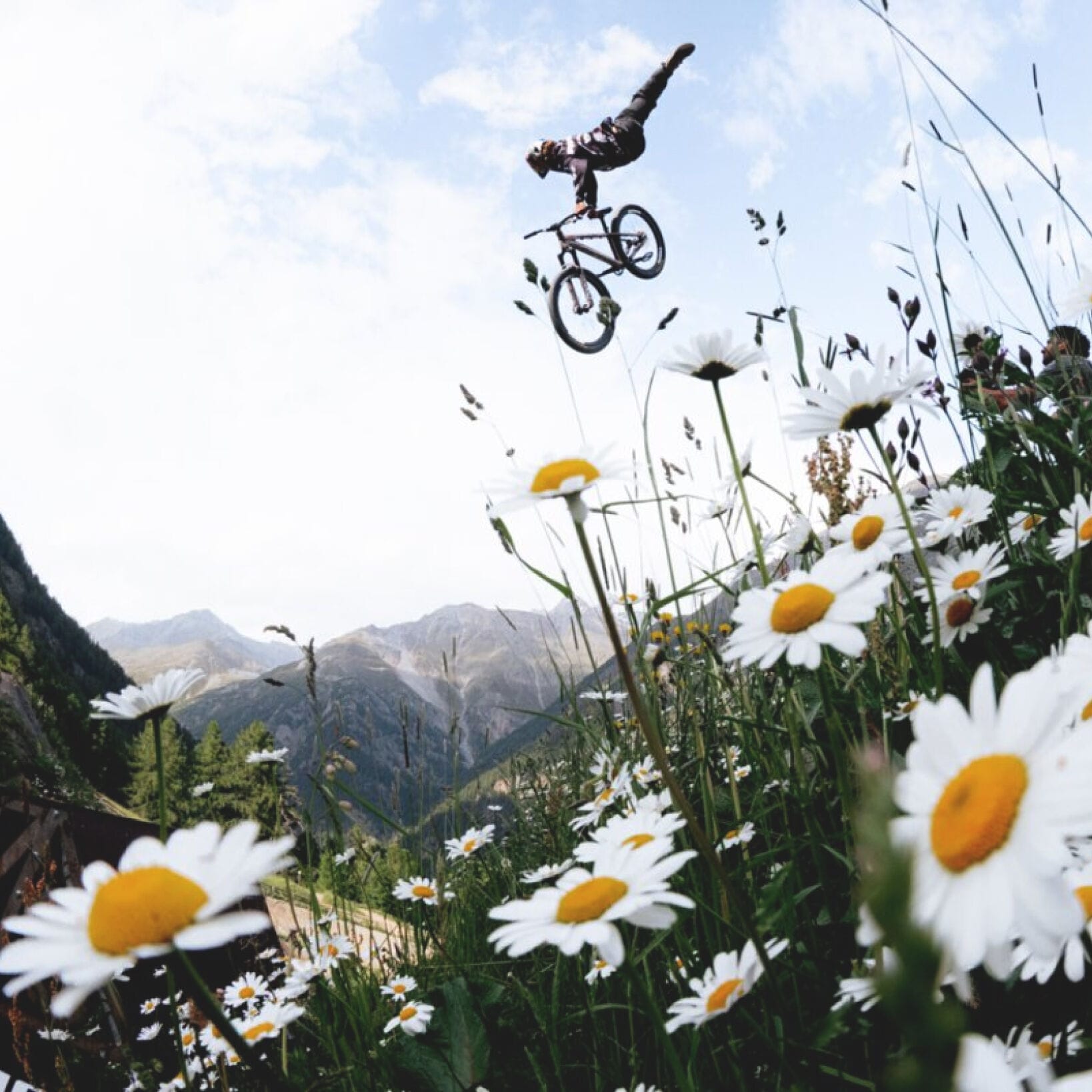 Nines Bike